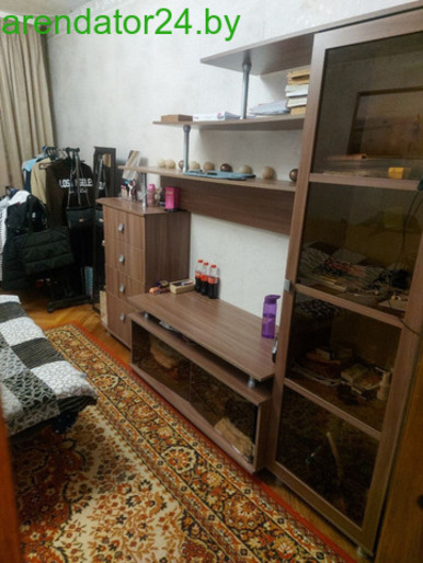 Квартира на сутки Скидель
