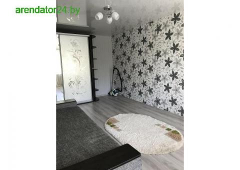 Квартира на сутки Светлогорск