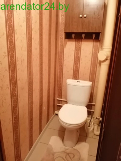 Квартира на сутки Костюковичи