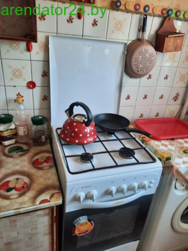 Квартира на сутки Осиповичи