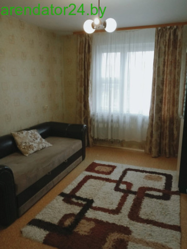 Квартира на сутки в Воложине. Отчетные документы.