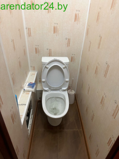 Квартира на сутки Петриков